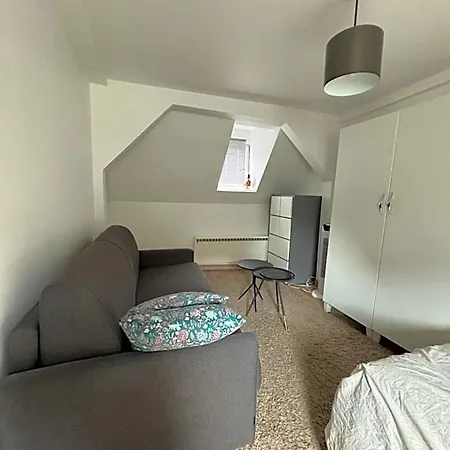 Cosy Near Straatsburg